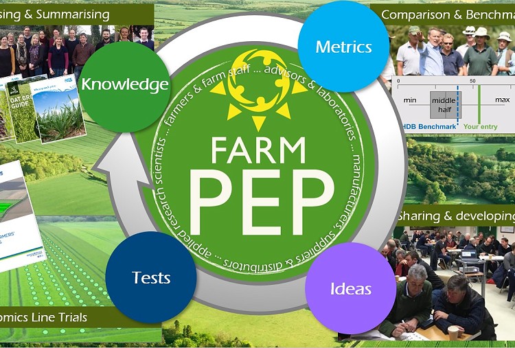 AICC'S INPUT INTO FARM-PEP PROJECT