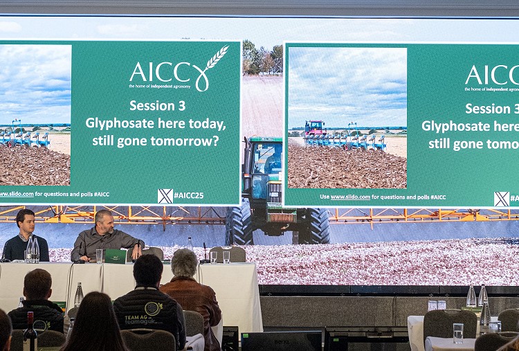 Glyphosate in focus