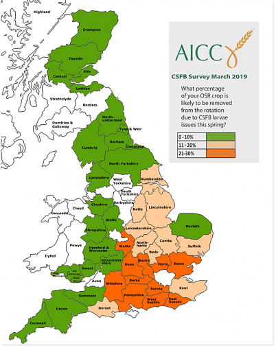 AICC SURVEY RESULTS ON CSFB DAMAGE