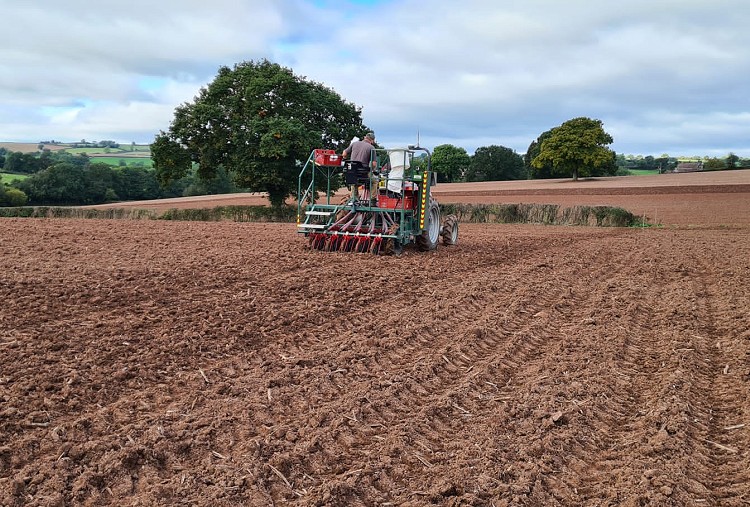 AICC FUNGICIDE TRIALS BEING DRILLED IN THE WEST