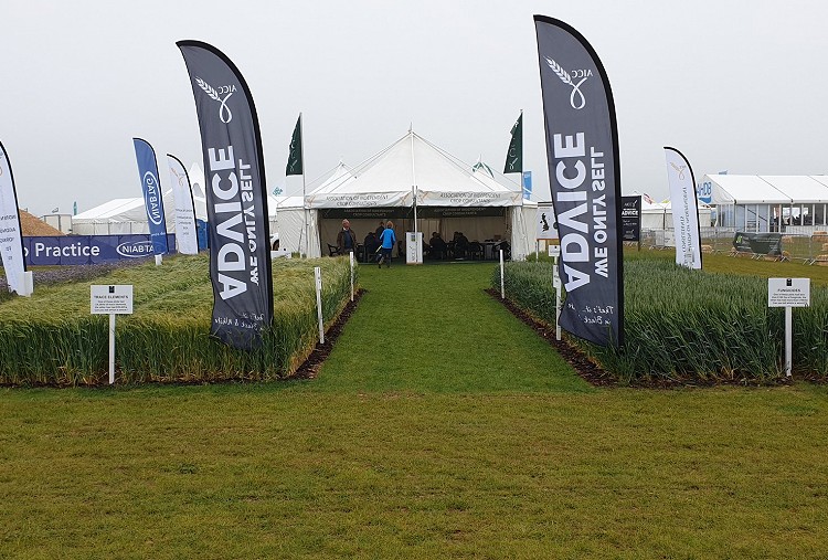 AICC CONFIRM ATTENDANCE AT CEREALS 2021