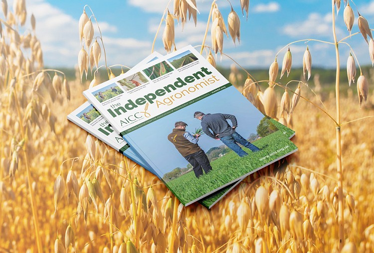 The 2025 edition of The Independent Agronomist is now available