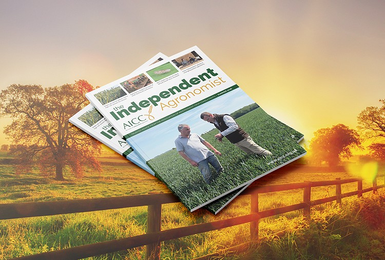The 2026 edition of The Independent Agronomist is now available